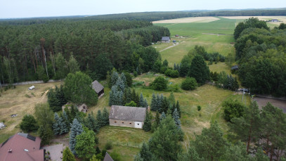 Działka Sprzedaż Nowina