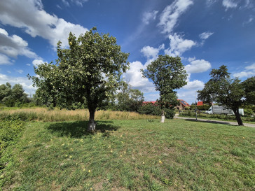 Działka Sprzedaż Radakowice