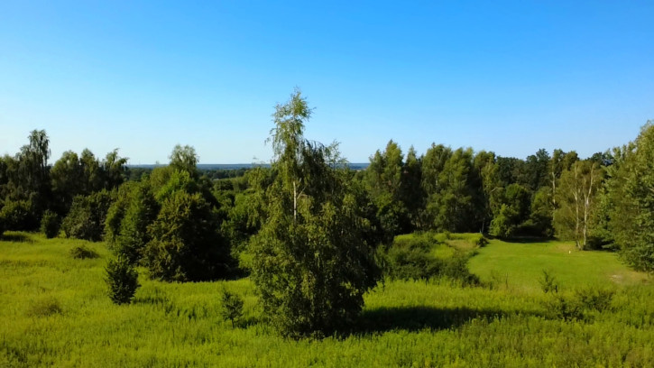 Działka Sprzedaż Brzezinka Średzka 4