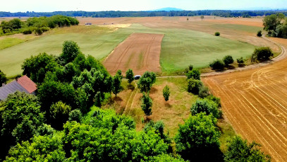 Działka Sprzedaż Kryniczno