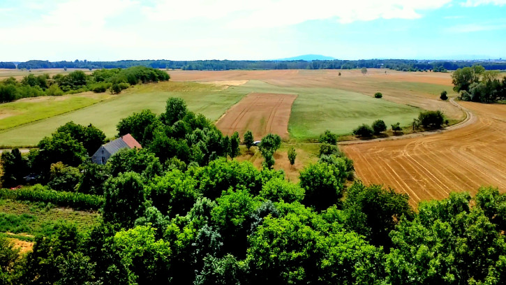 Działka Sprzedaż Kryniczno 6