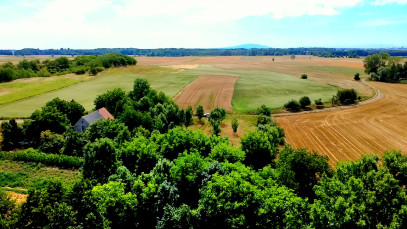 Działka Sprzedaż Kryniczno