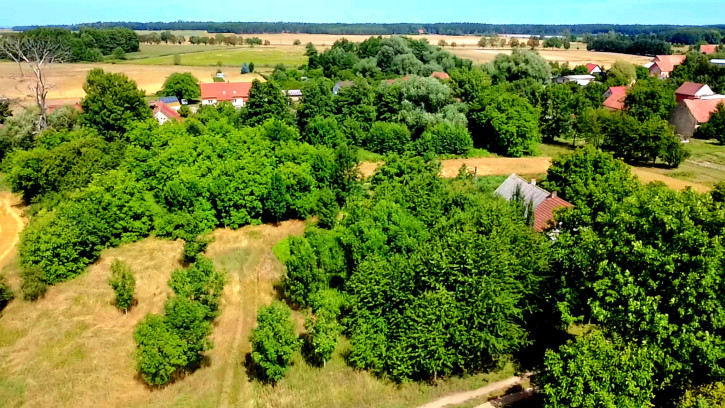 Działka Sprzedaż Kryniczno 1