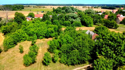 Działka Sprzedaż Kryniczno