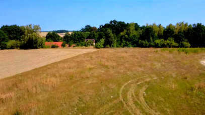 Działka Sprzedaż Ogrodnica