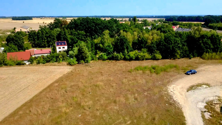 Działka Sprzedaż Ogrodnica 1
