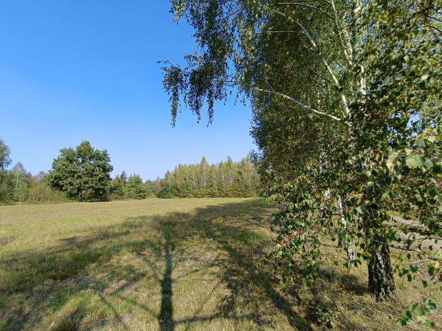 Działka Sprzedaż Celinów Polnych Kwiatów 2