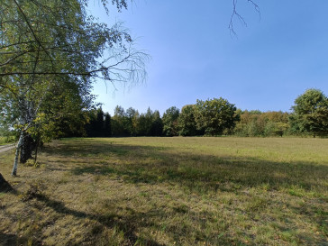 Działka Sprzedaż Celinów Polnych Kwiatów