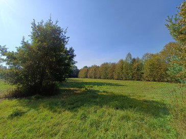 Działka Sprzedaż Celinów Polnych Kwiatów