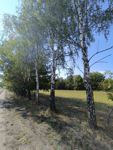 Działka Sprzedaż Celinów Polnych Kwiatów 1