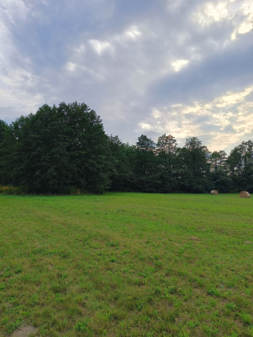 Działka Sprzedaż Celinów Różana 1