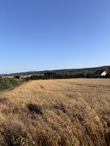 Działka Sprzedaż Tomkowa 4