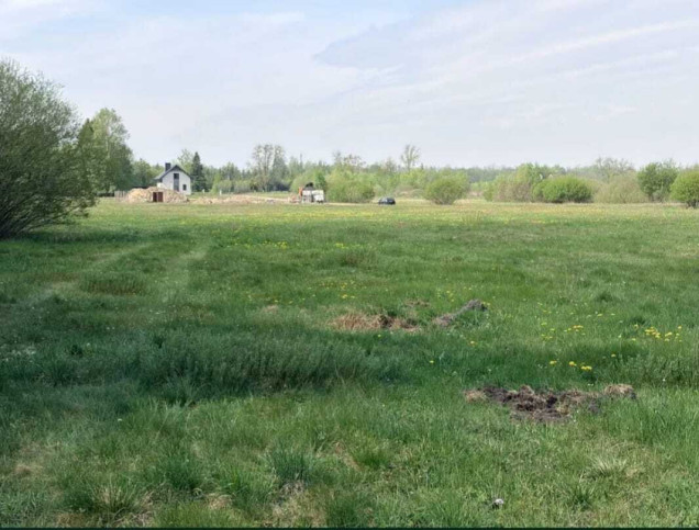 Działka Sprzedaż Kuriany 1