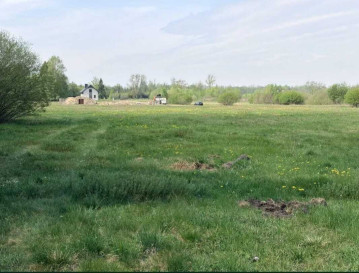 Działka Sprzedaż Kuriany