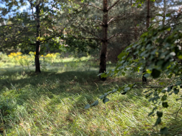 Działka Sprzedaż Owczarnia