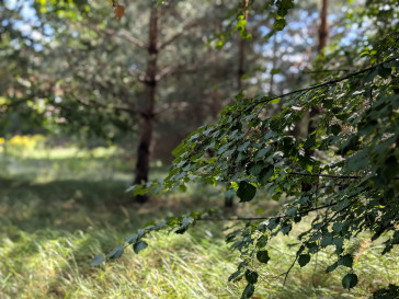 Działka Sprzedaż Owczarnia