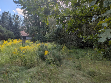Działka Sprzedaż Owczarnia
