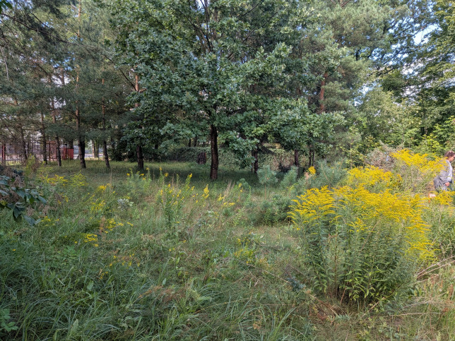Działka Sprzedaż Owczarnia 6