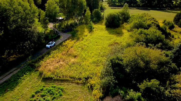 Działka Sprzedaż Dąbrowa Środkowa 6