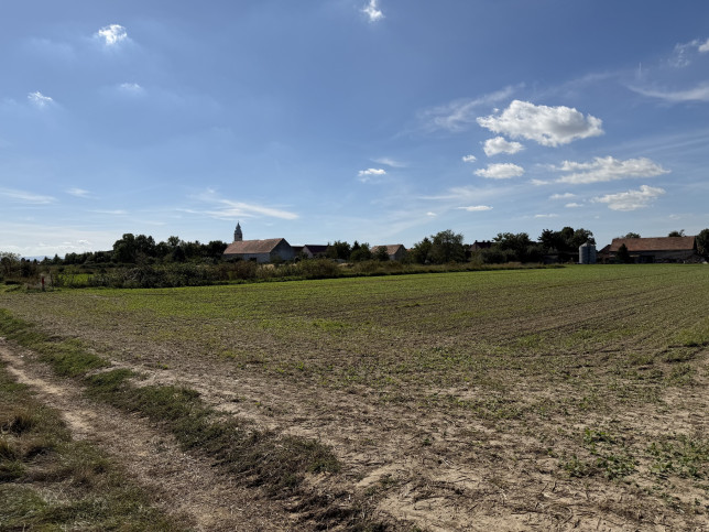 Działka Sprzedaż Gościsław 9