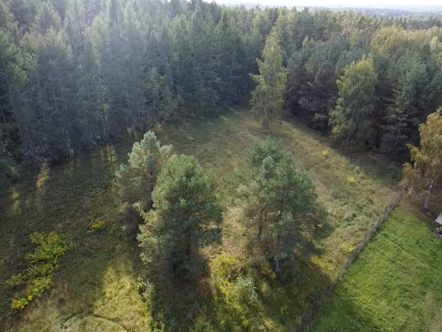 Działka Sprzedaż Downiewo 3
