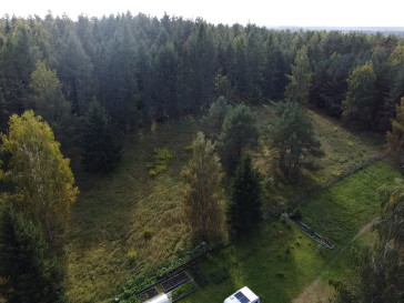 Działka Sprzedaż Downiewo