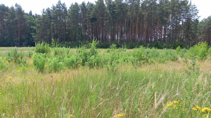 Działka Sprzedaż Niewodnica Korycka 2