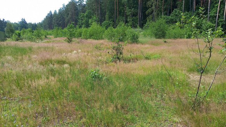 Działka Sprzedaż Niewodnica Korycka 1