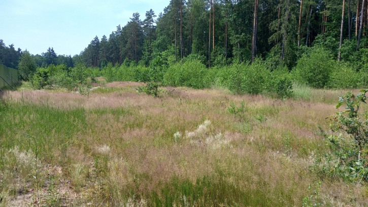 Działka Sprzedaż Niewodnica Korycka 2