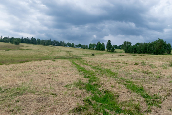 Działka Sprzedaż Stronie Śląskie Dolna 4