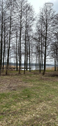 Działka Sprzedaż Węgorzewo 11
