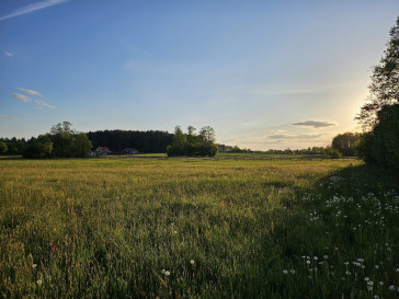 Działka Sprzedaż Porosły Wierzbowa