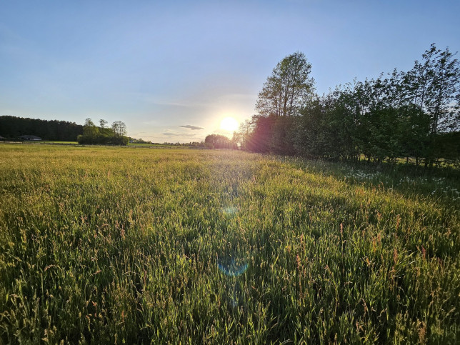 Działka Sprzedaż Porosły Wierzbowa 1