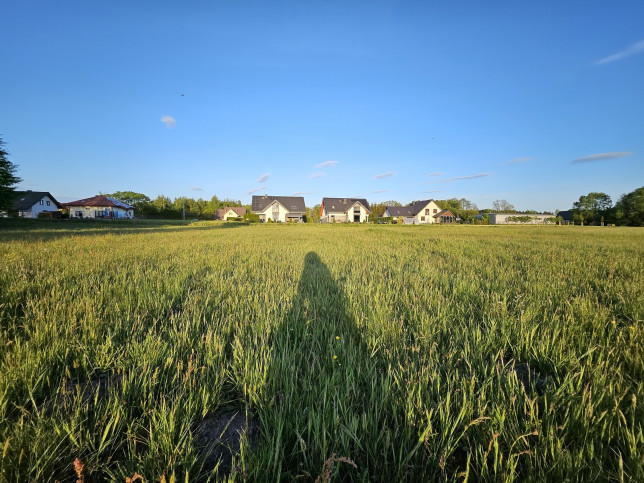 Działka Sprzedaż Porosły Wierzbowa 6