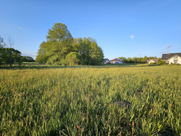 Działka Sprzedaż Porosły Wierzbowa