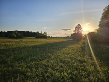 Działka Sprzedaż Porosły Wierzbowa