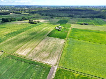 Działka Sprzedaż Świerszczów