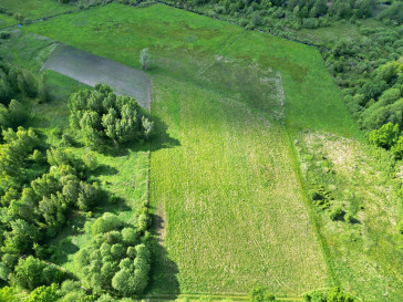 Działka Sprzedaż Świerszczów