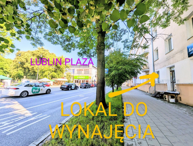 Lokal Wynajem Lublin Śródmieście Lipowa 1