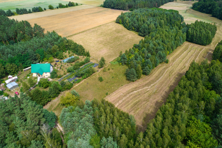 Działka Sprzedaż Czaplino 5