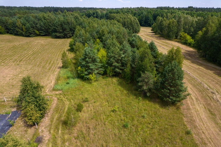 Działka Sprzedaż Czaplino 6