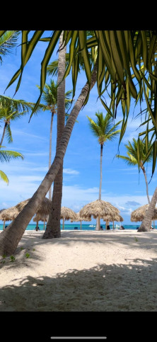 Mieszkanie Sprzedaż Los Corales, Avenida Bávaro, Higüey, La Altagracia, 23302, Dominikana 11